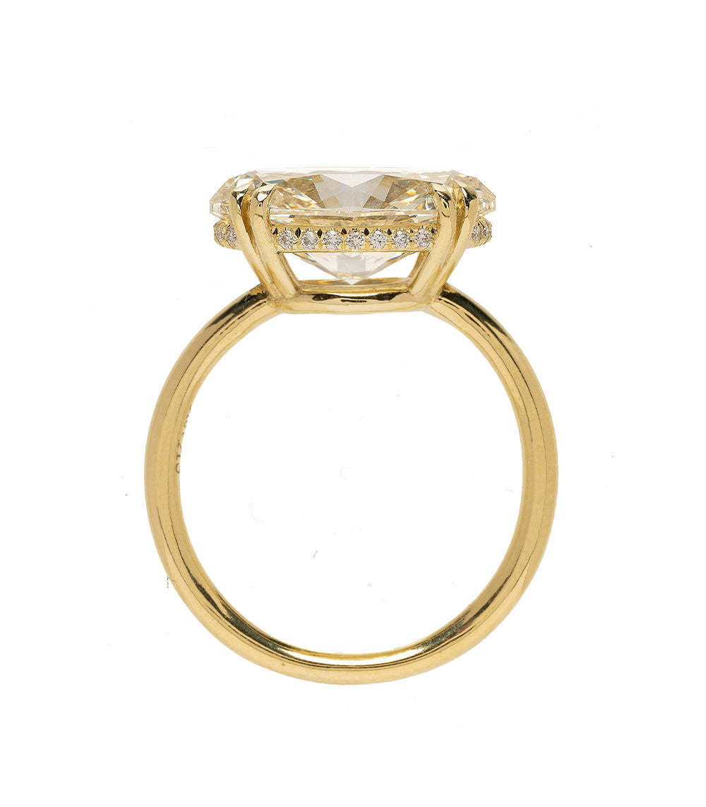 Sk R85 Hh Dp Nd Cd Oc Ew 4.50