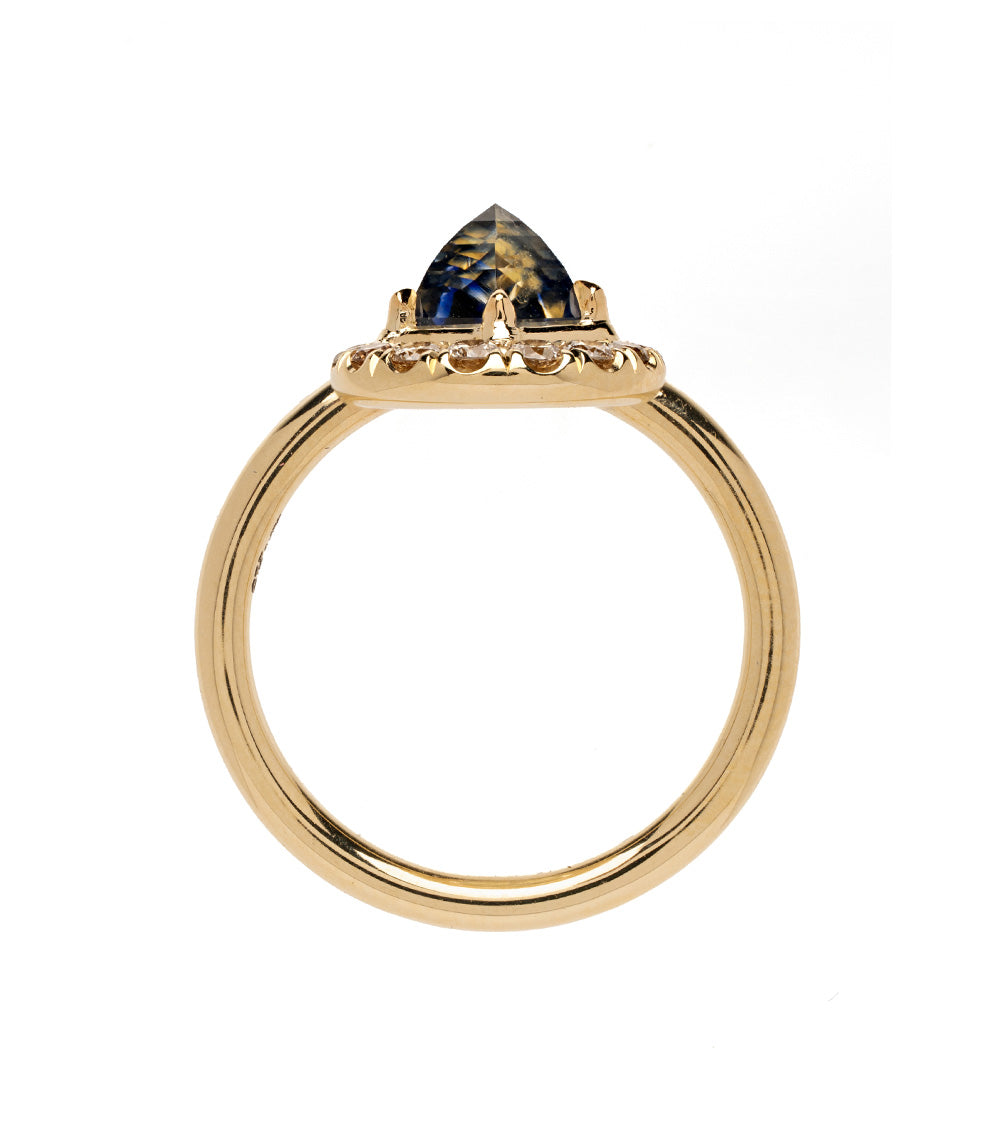 Unique Sapphire Engagement Ring