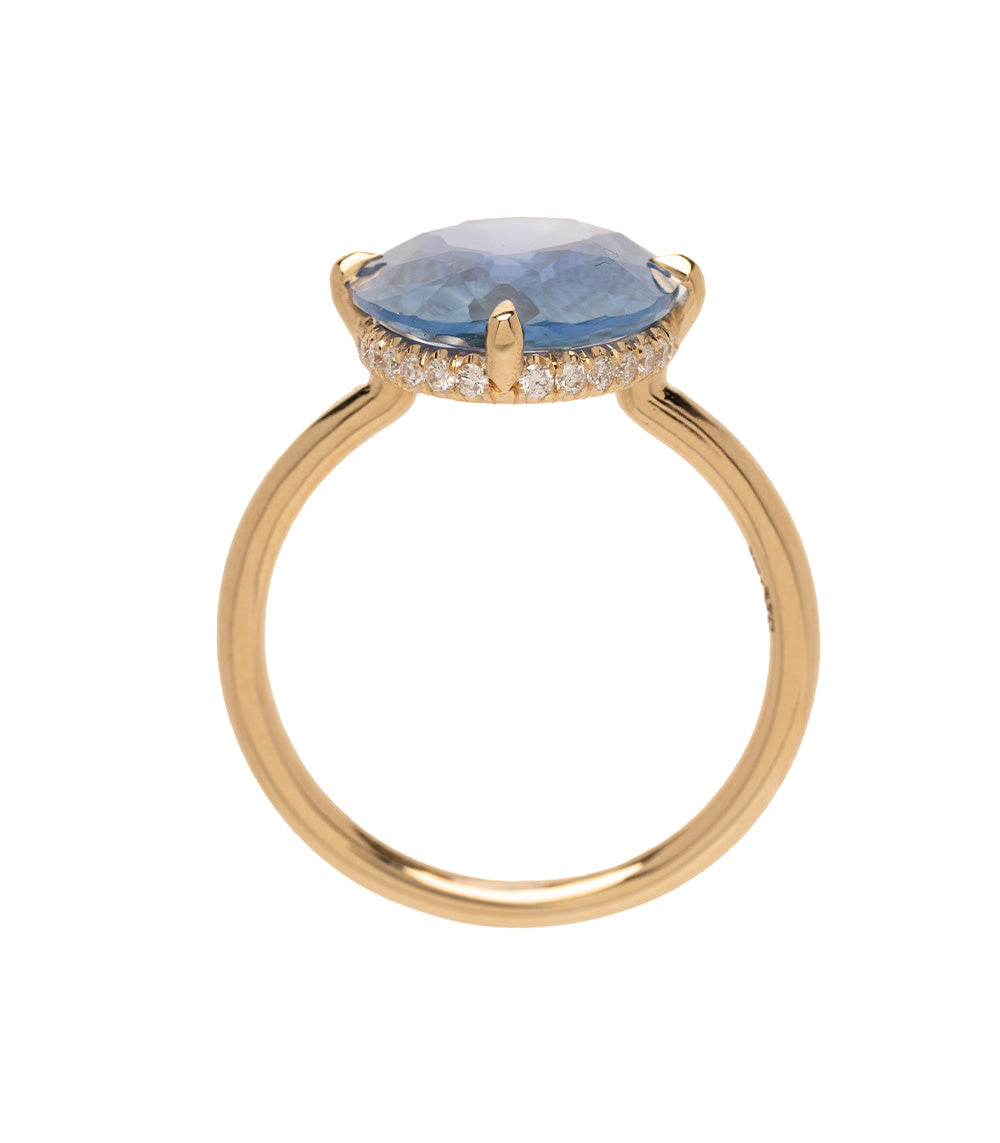 Sk R94 Saph Hh Ob 5.24