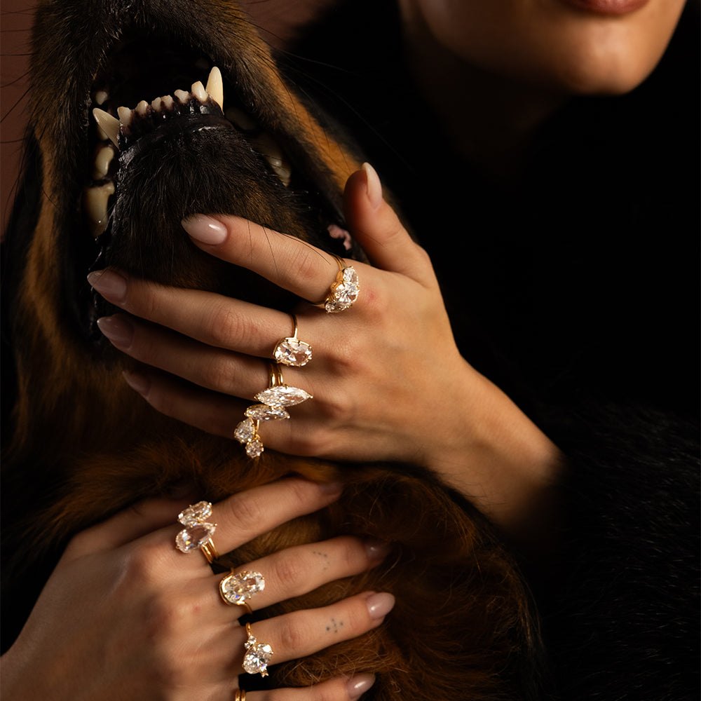 Dramatic editorial photograph of a model wearing an eclectic collection of Sofia Kaman 14K yellow gold diamond statement rings, featuring sparkling oval, marquise, pear, and antique-inspired diamond cuts. Her hands rest against a brown fur Rotteweiler head with visible teeth, while warm lighting and a dark fur coat create a bold, vintage-inspired luxury jewelry aesthetic.