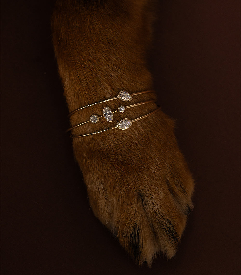 Editorial close-up of three sculptural 14K yellow gold Gigi diamond cuff bracelets stacked around a rich brown fur-covered Rotteweiler paw, featuring pear, marquise, and round brilliant cut diamonds. Styled against a dark chocolate brown background for a playful, luxurious holiday fine jewelry look by Sofia Kaman Fine Jewels.