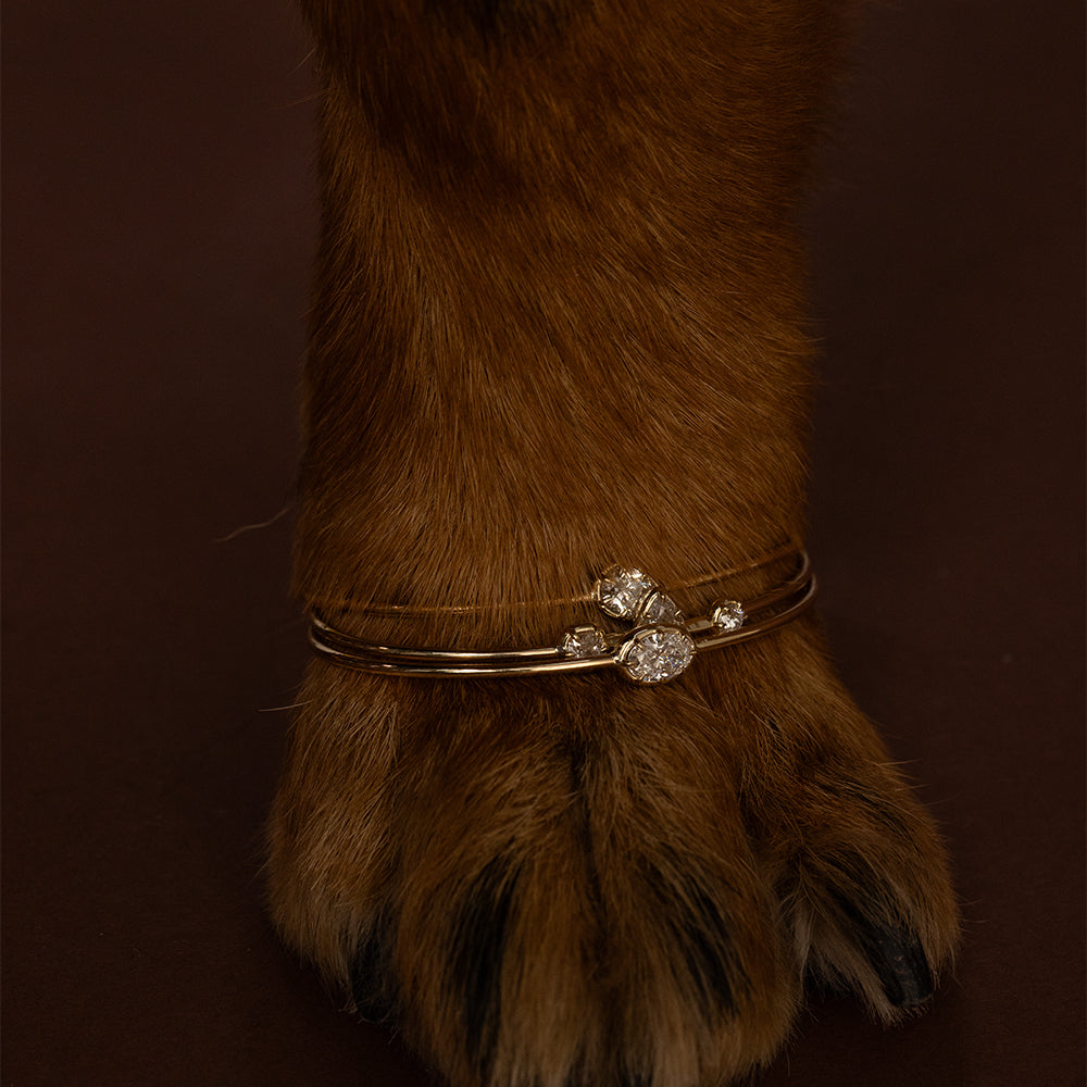 Editorial close-up of sculptural 14K yellow gold Gigi diamond cuff bracelets stacked around a rich brown furry Rotteweiler paw, featuring sparkling oval, cushion, and round brilliant cut diamonds in delicate gold cuff settings. Styled against a dark chocolate brown background for a playful, luxurious holiday fine jewelry look by Sofia Kaman Fine Jewels.