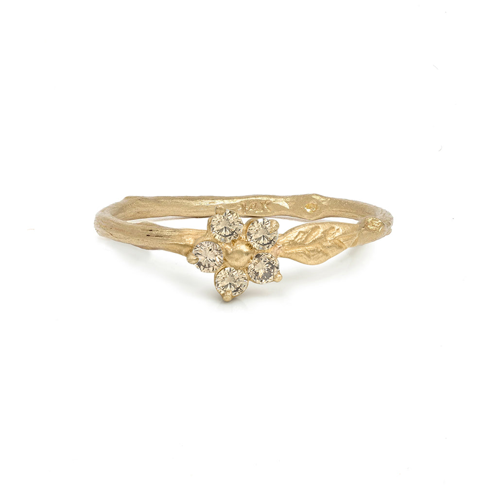 Daisy Twig Band