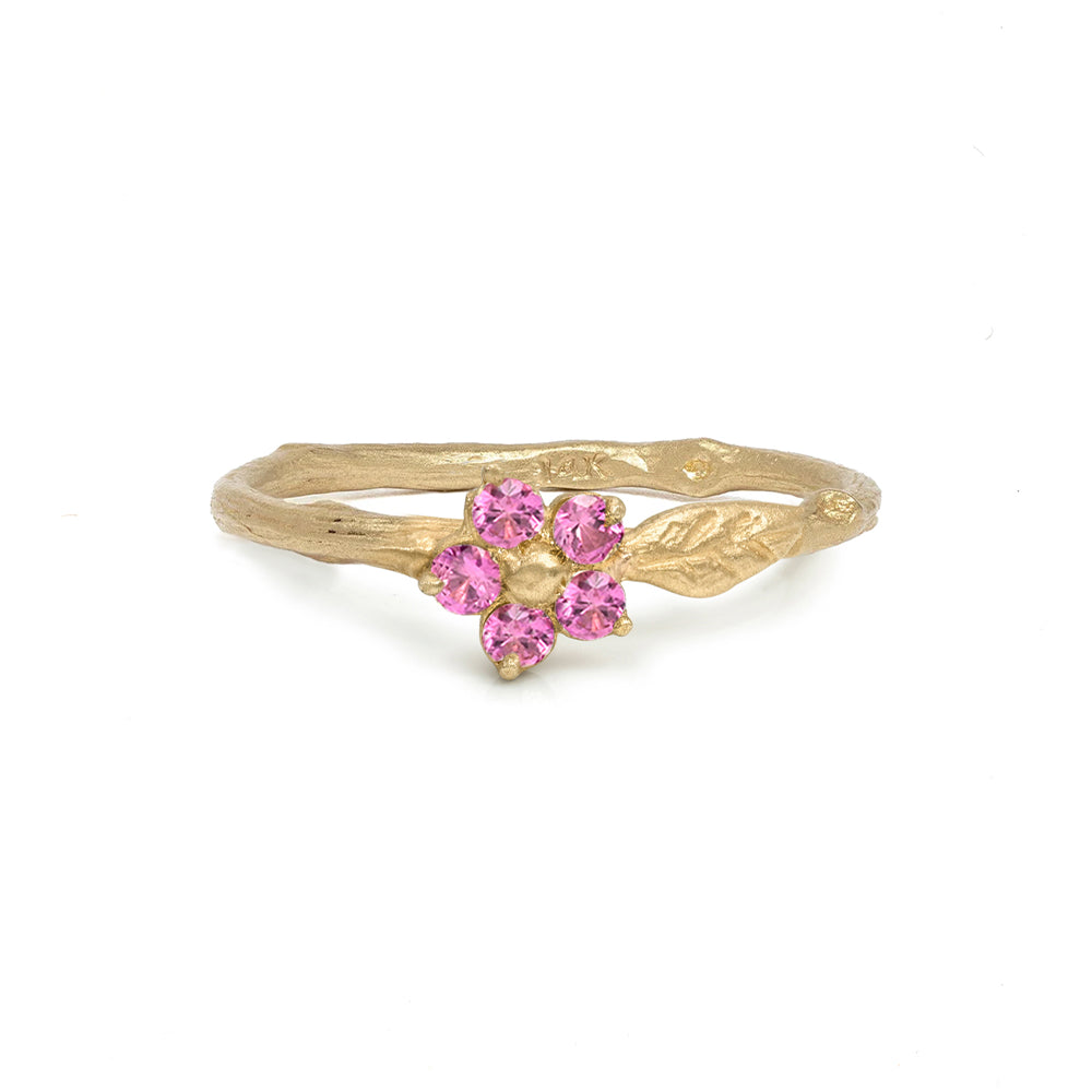 Daisy Twig Band