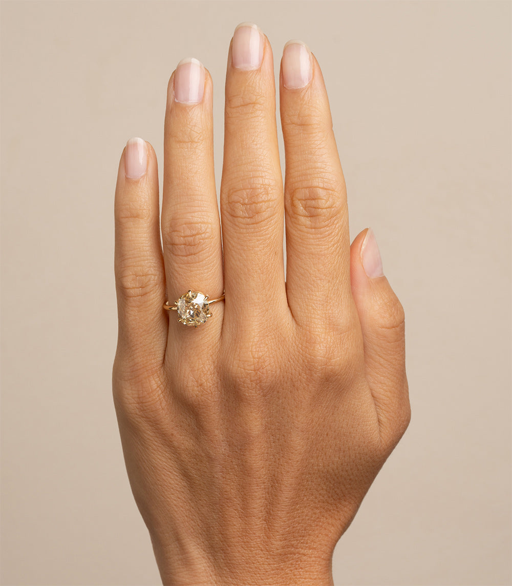 Ella – Sofia Kaman