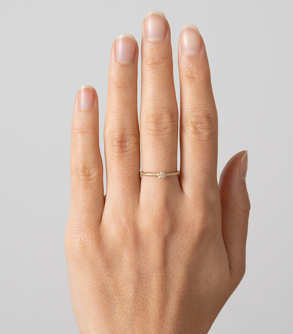 Twig Band – Sofia Kaman