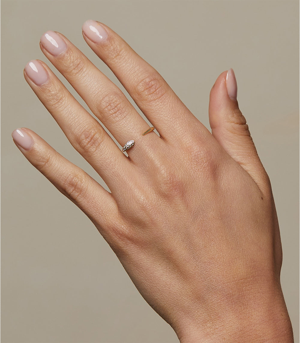 Comet Band – Sofia Kaman