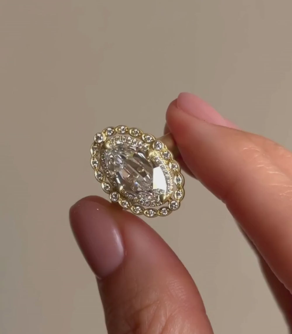 Genevieve – Sofia Kaman