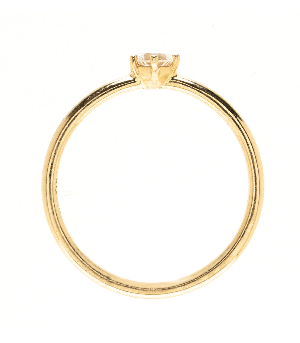 Beloved – Sofia Kaman